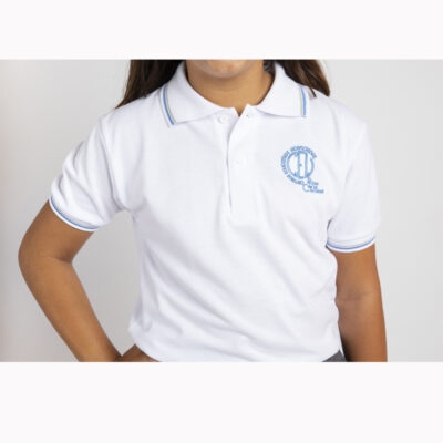 1101 polo mc